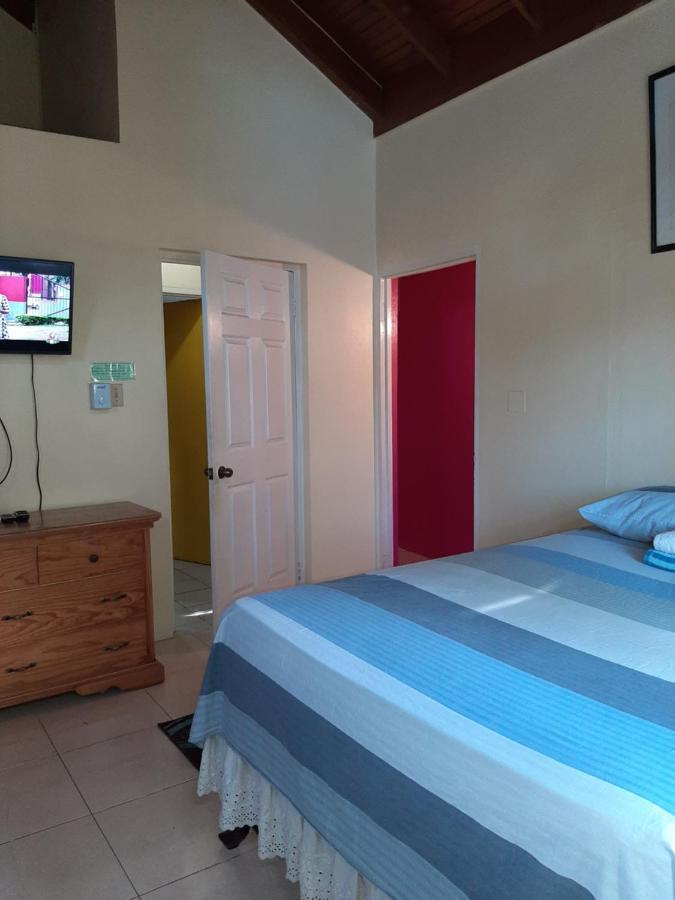 Dancehall Hostel Кінгстон Екстер'єр фото